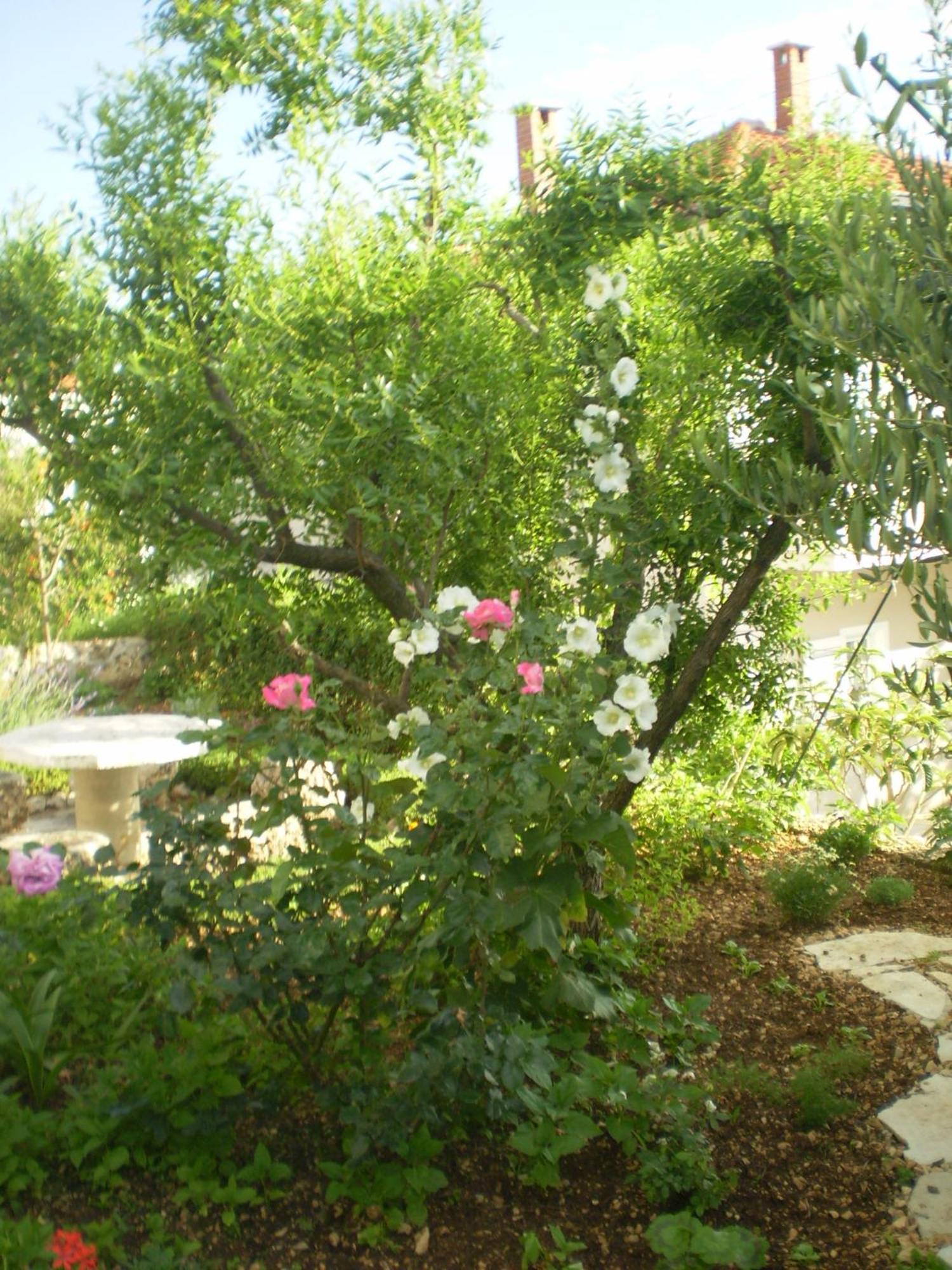 Apartmani Villa Marija Omiš Esterno foto
